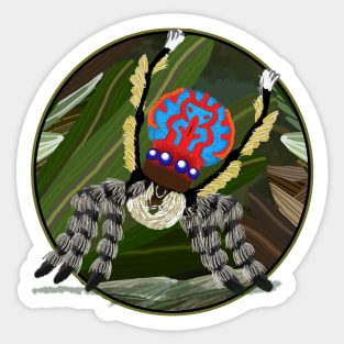 Maratus bubo spider No text Sticker